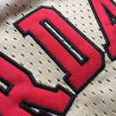 Regata Chicago Bulls Mitchell & Ness 95/96 Jordan